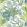Protea Wallpaper by Thibaut Green and Blue
