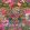 Punk Rocks Wallpaper by Brand McKenzie Hot Pink