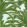 Queen Palm Wallpaper by Thibaut Green and Blue