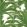 Queen Palm Wallpaper by Thibaut Green