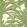 Queen Palm Wallpaper by Thibaut Sage