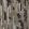 Rafia Wallpaper by Missoni Brown