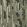 Rafia Wallpaper by Missoni Sage