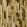Rafia Wallpaper by Missoni Yellow