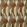 Rafiki Fabric by Prestigious Textiles Sienna