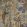 Rainforest Mural by Thibaut Neutral on Metallic