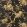 Ashfield Floral Wallpaper by Ralph Lauren Tobacco