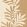 Rama Wallpaper by Casamance Ivoire/chene