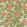 Rambling Rose Wallpaper by Morris & Co Twining Vine