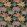 Ravenala Fabric by Osborne & Little Charcoal/Blush