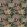 Ravenala Wallpaper by Osborne & Little Charcoal/Blush