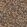 Regents Park Wallpaper by Casadeco Automne