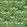 Rhododendron Wallpaper by 1838 Wallcoverings Yellow