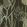 Riverside Flora Wallpaper by MINDTHEGAP Anthracite