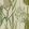 Riverside Flora Wallpaper by MINDTHEGAP Taupe