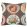 Robina's Dinner Party Cushion 45cm x 45cm by GP & J Baker Cocoa
