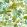 Robin's Wood Wallpaper by Sanderson Botanical Green