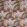 Rondel Fabric by Prestigious Textiles Amber