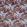 Rondel Fabric by Prestigious Textiles Orchid