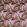 Rondel Fabric by Prestigious Textiles Samba