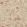 Rosalind Fabric by Thibaut Beige