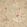 Rosalind Wallpaper by Thibaut Beige