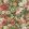 Rose And Peony Wallpaper by Sanderson Amanpuri Red/Devon Green