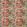Rose & Peony Fabric by Sanderson Red