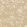 Roseberry Wallpaper by Cole & Son Champagne Shimmer