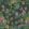 Roseraie Wallpaper by Jannelli&Volpi Charcoal