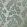 Rosetta Wallpaper by 1838 Wallcoverings Neo Mint