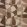 Rosetta Fabric by Lizzo Clay