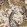 Royal Giraffe Wallpaper by Cole & Son Stone & Mulberry
