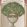Royal Jardiniere Wallpaper by Cole & Son Spring