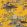 Sacred Pheasants Wallpaper by Coordonne Amber
