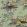 Sacred Pheasants Wallpaper by Coordonne Jade