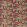 Cantaloupe Fabric by Sanderson Cherry/Alabaster