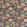 Indra Flower Fabric by Sanderson Indigo/Cherry
