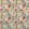 Dahlia And Rosehip Velvets Fabric by Sanderson Mulberry / Grey