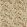 Abbeville Fabric by Sanderson Russet/Sand