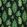 Fernery Fabric by Sanderson Botanical Green/Charcoal