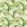 Palm House Fabric by Sanderson Botanical Green
