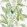 Calathea Wallpaper by Sanderson Botanical Green