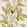 Calathea Wallpaper by Sanderson Olive
