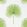 Fan Palm Wallpaper by Sanderson Botanical Green