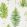 Fernery Wallpaper by Sanderson Botanical Green