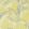 Palm House Wallpaper by Sanderson Chartreuse/Grey