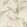 Palm House Wallpaper by Sanderson Linen/Gilver