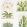 Terrariums Wallpaper by Sanderson Chalk/Green