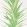 Yucca Wallpaper by Sanderson Botanical Green